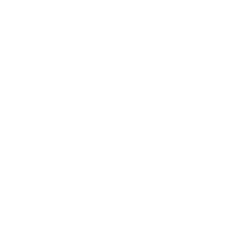 Logo vom Plissee